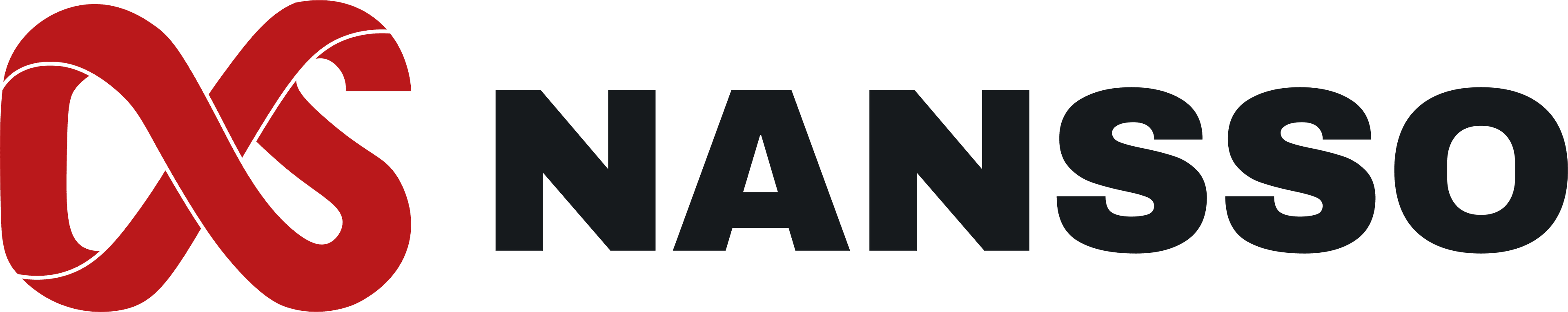NANSSO - Desarrollo Web Profesional en Antofagasta