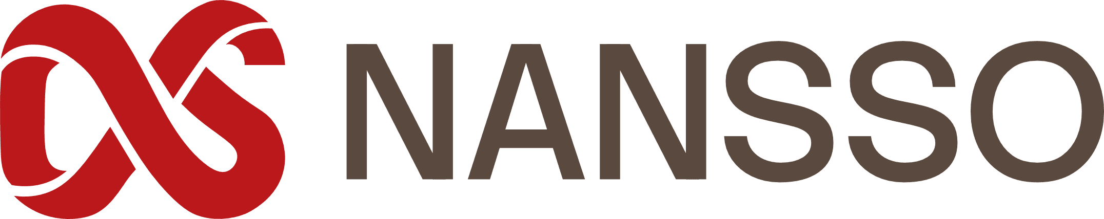 NANSSO — desarrollo de software en Antofagasta